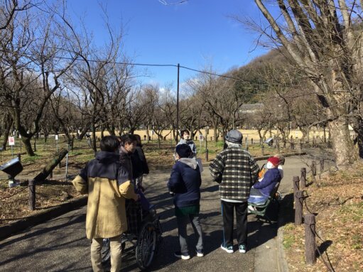 ５年ぶりの復活！梅林公園ウォーキング🚶